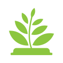 TabFern tab manager and backup tool缩略图