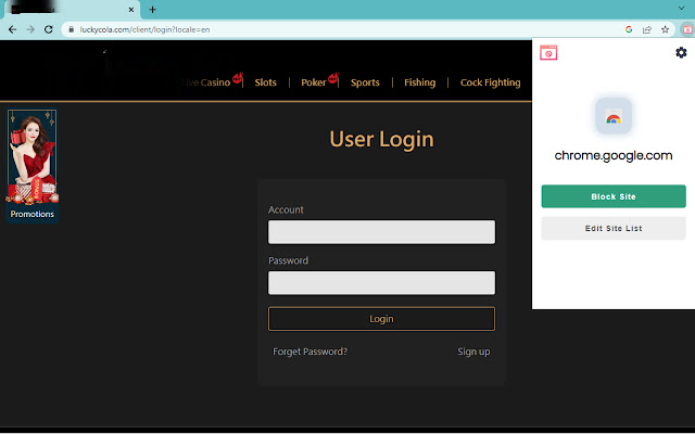 Block Sites 2.0插图