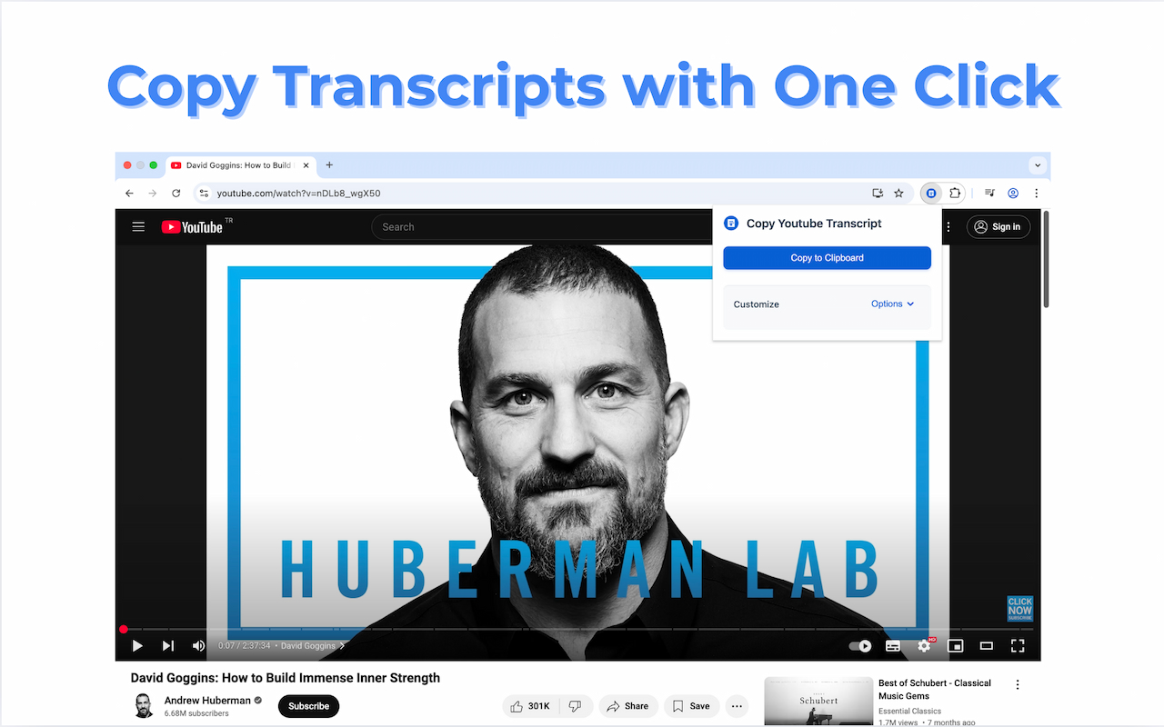 Copy Youtube Transcript插图