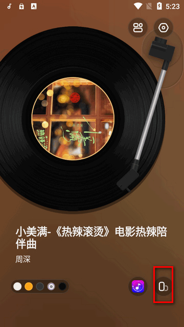 谜底黑胶插图1