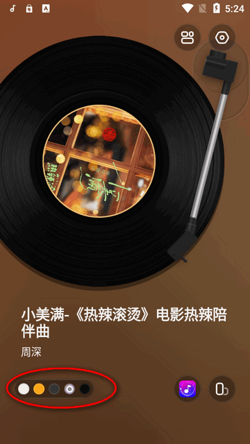 谜底黑胶插图2