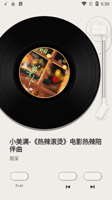 谜底黑胶插图3