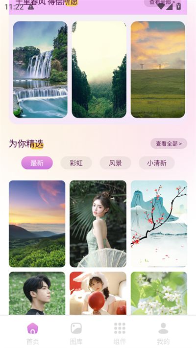 回音鸟组件插图1