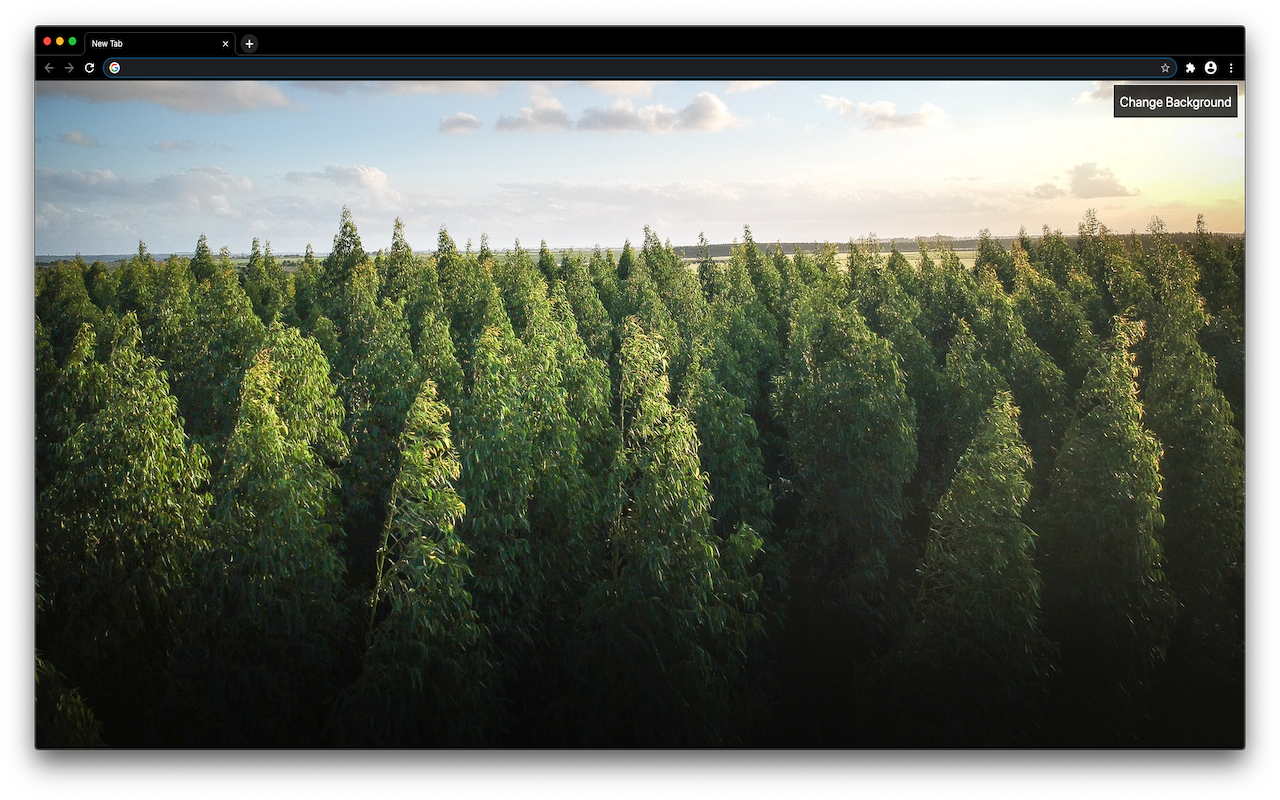 New Tab Background Image Extension插图