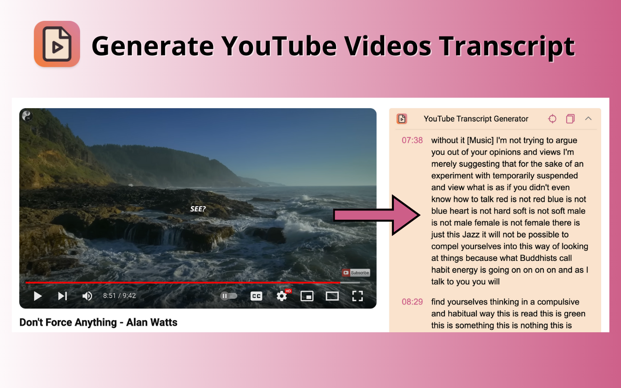 YouTube 脚本生成器 - YouTube Transcript Generator插图