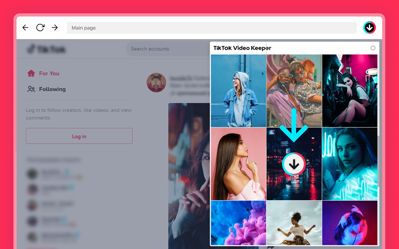 TikTok 视频与图片管理器插图