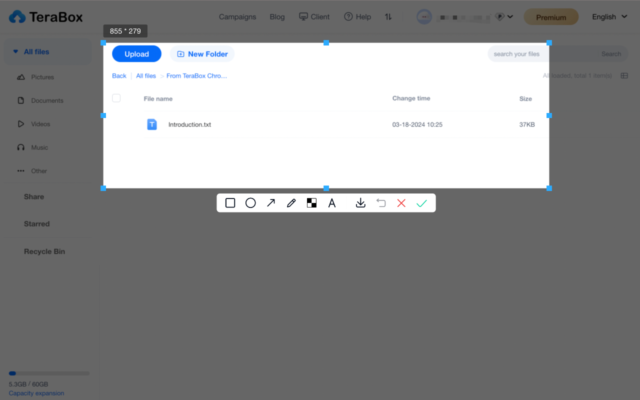 TeraBox Download Assistant插图