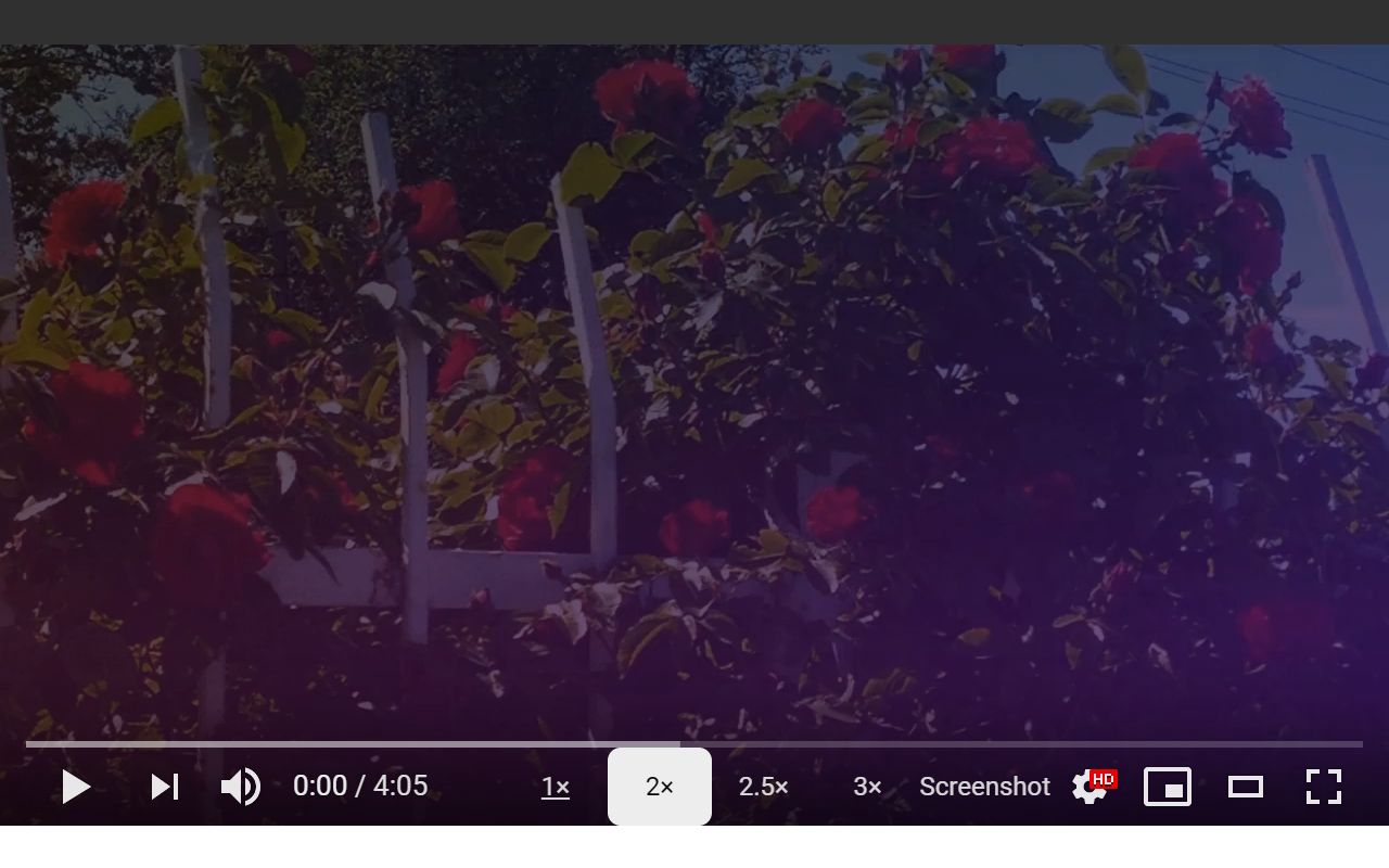 Screenshot YouTube插图