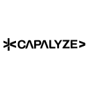 Capalyze - AI驱动的抓取网页内容并情感分析的插件