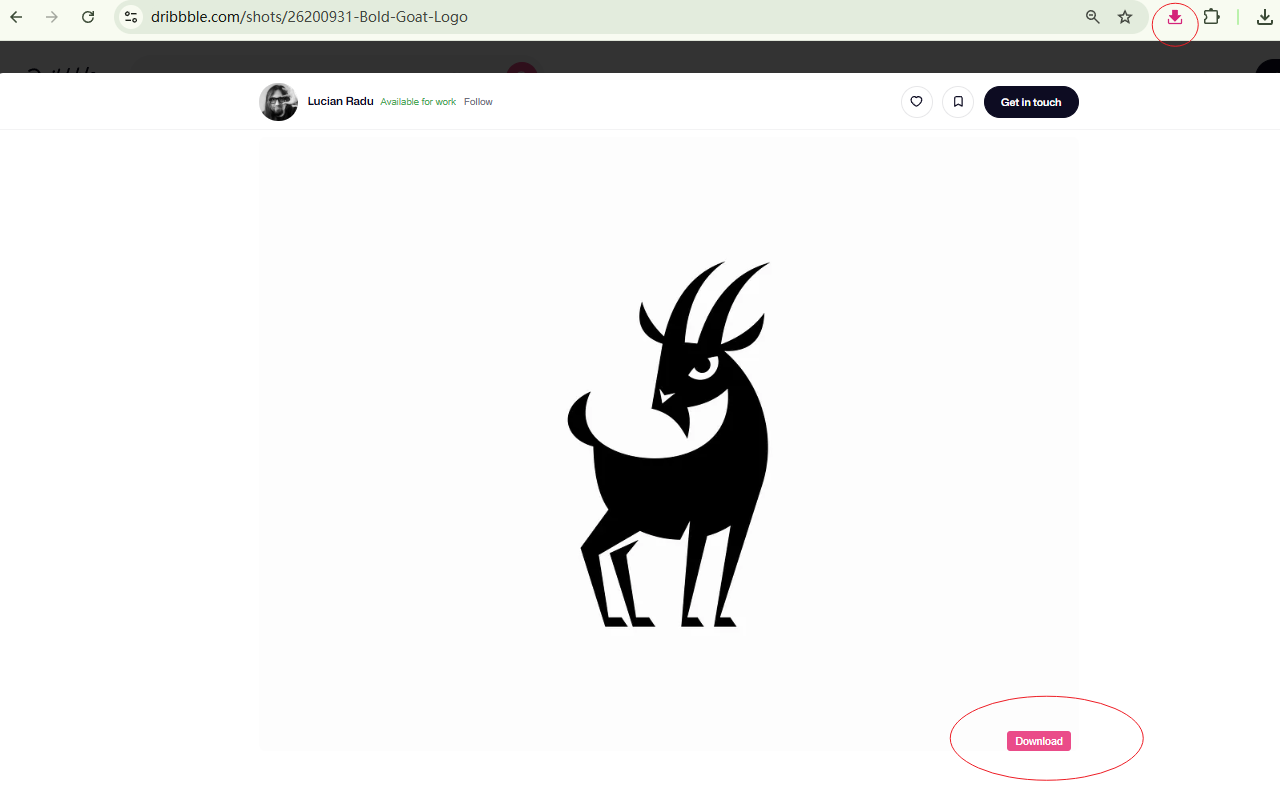 Dribbble图片和GIF下载插图