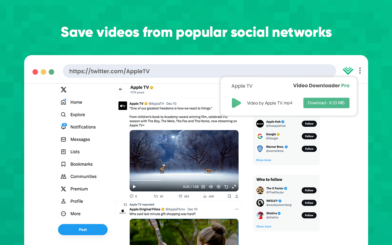 Video Downloader Pro插图