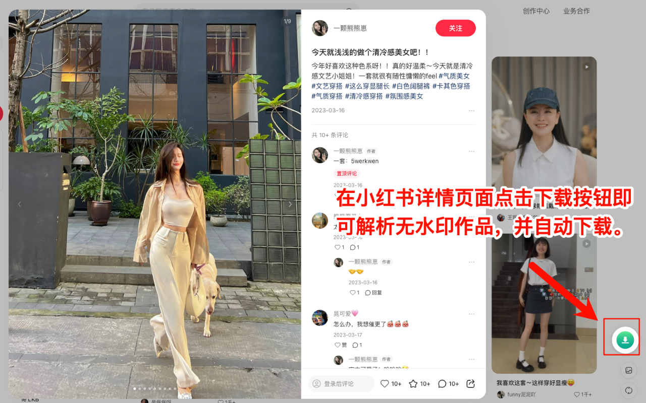 小红书下载神器插图2