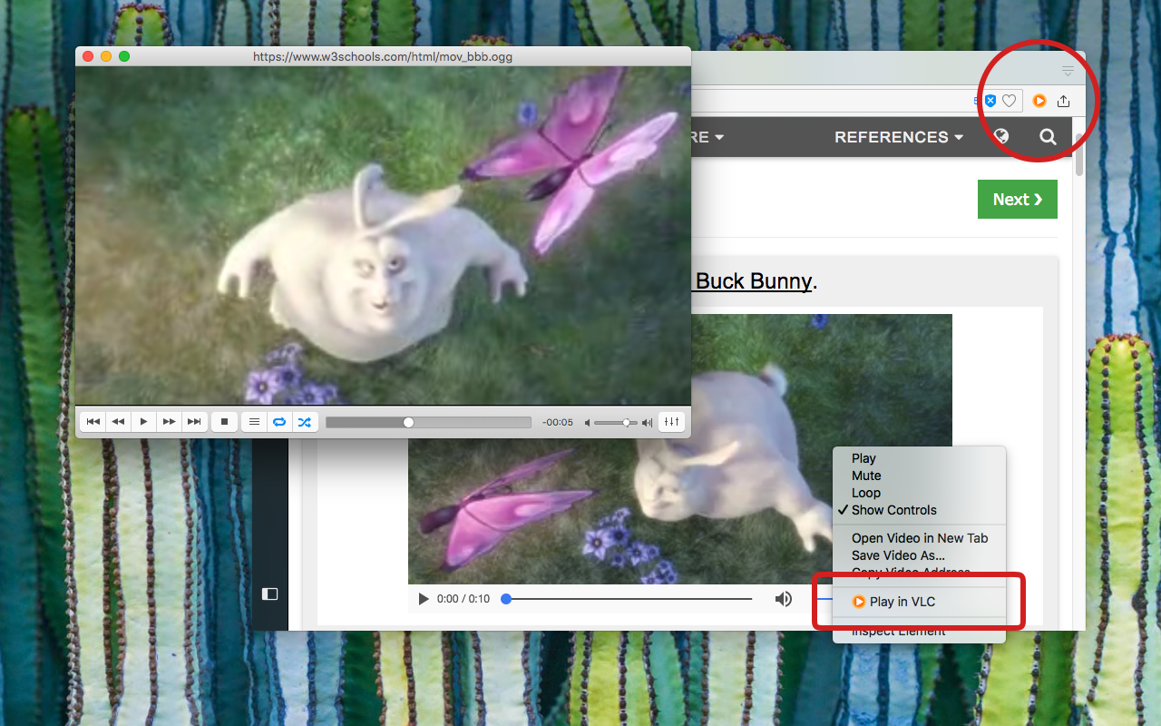 Play in VLC™插图