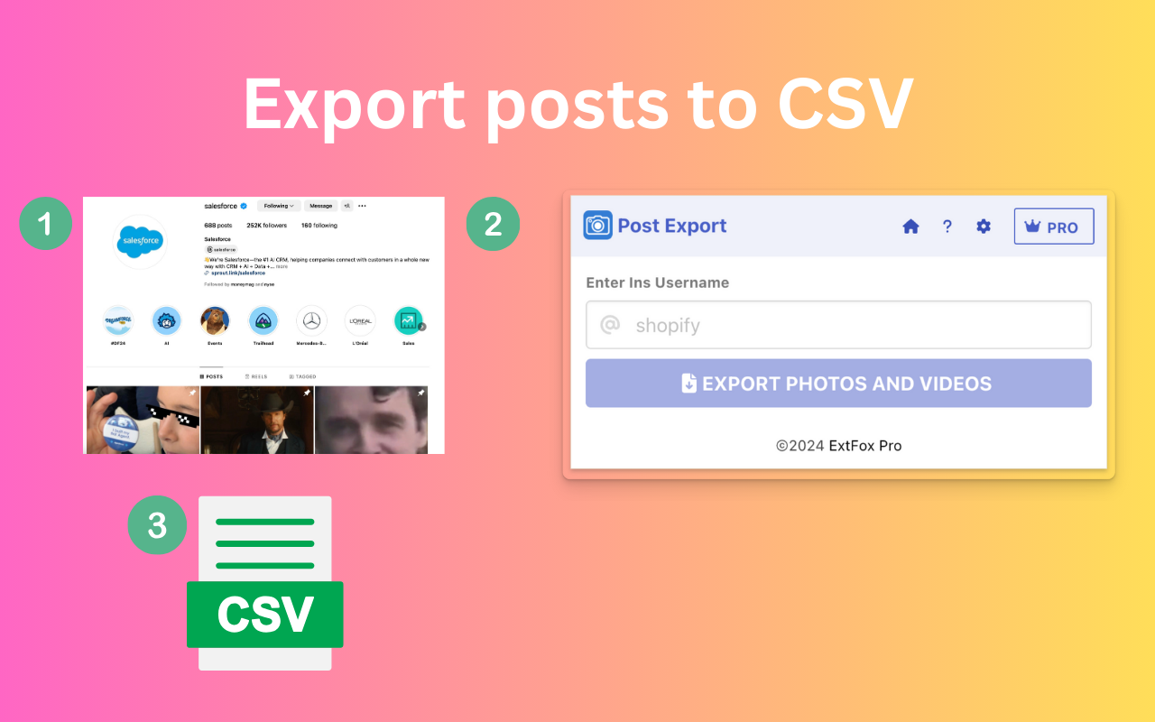 IG Post Export - 将 Ins 照片和视频导出为 CSV插图
