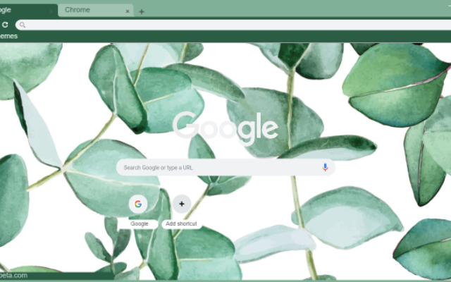 Eucalyptus Leaves Pattern插图