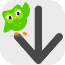 Duolingo Vocabulary Downloader缩略图