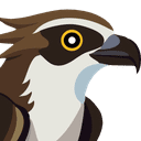 Osprey: Browser Protection缩略图