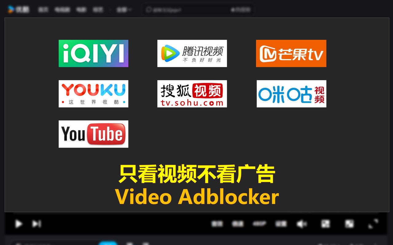 Video Adblocker插图