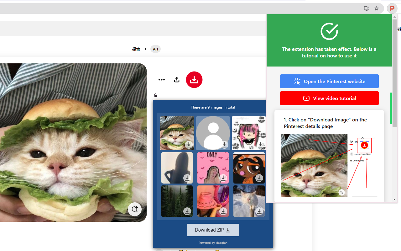 pinterest图片导出为Zip下载插图