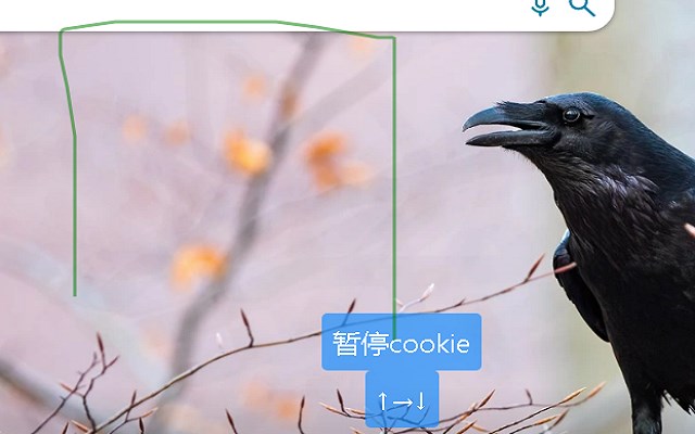 阳阳鼠标手势插图 阳阳鼠标手势插图