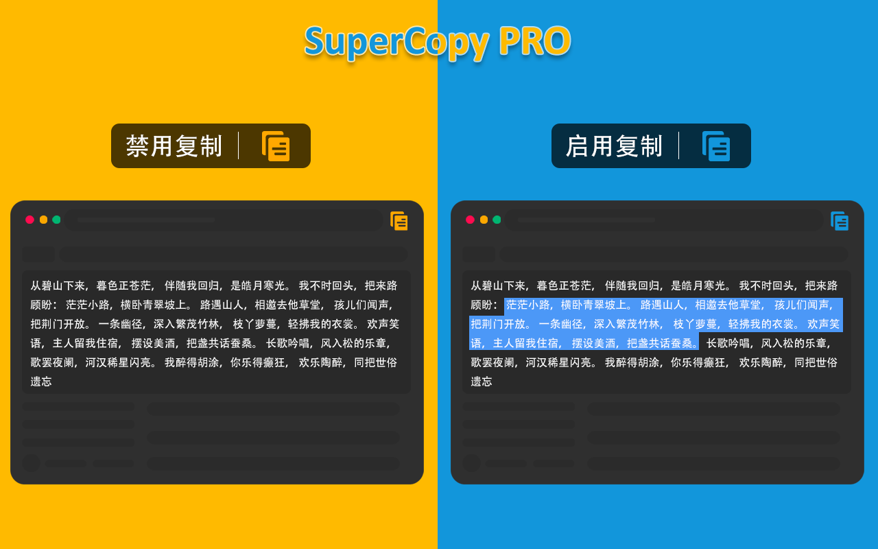 SuperCopy Pro插图