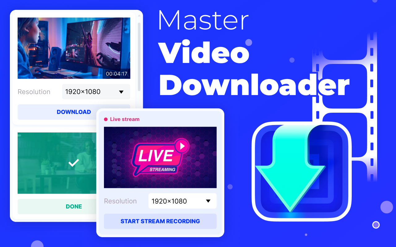 Master Video Downloader插图
