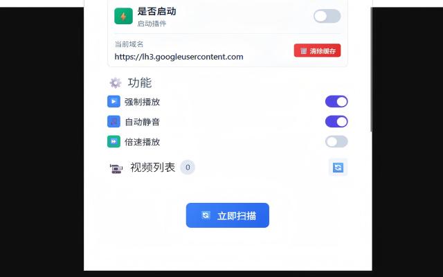 视频强制播放助手插图