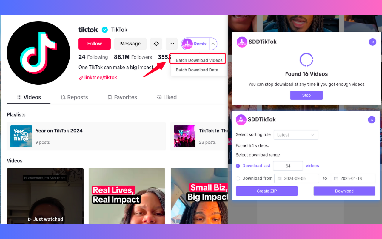SDDTikTok-支持单个、批量免费下载TikTok视频图片，博主数据插图