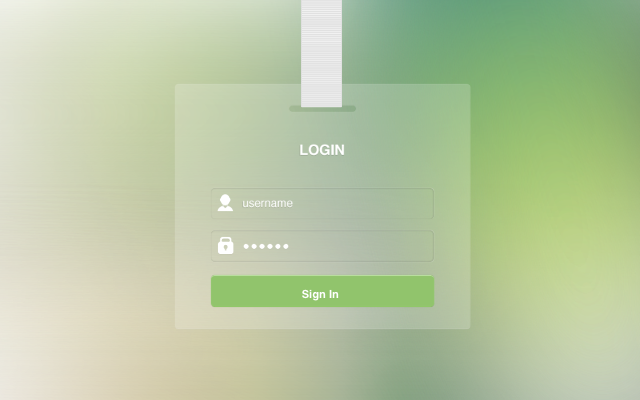 Show Hidden Password插图 Show Hidden Password插图
