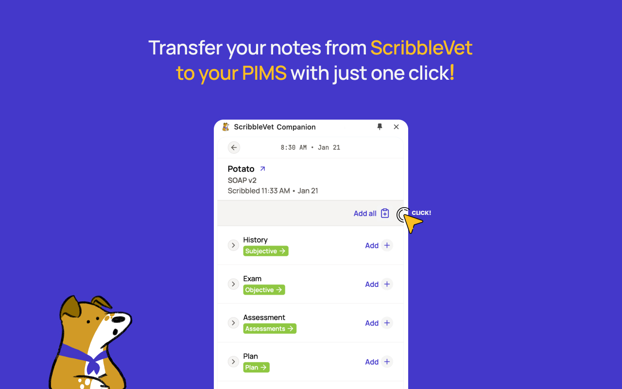 ScribbleVet Browser Companion插图 ScribbleVet Browser Companion插图