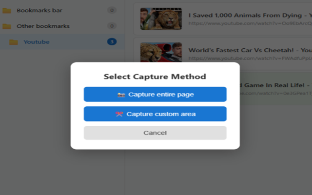 视觉书签 (Visual Bookmarks) - 隐私截图与标签管理插图