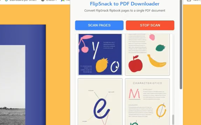 Flipbook to PDF Downloader插图