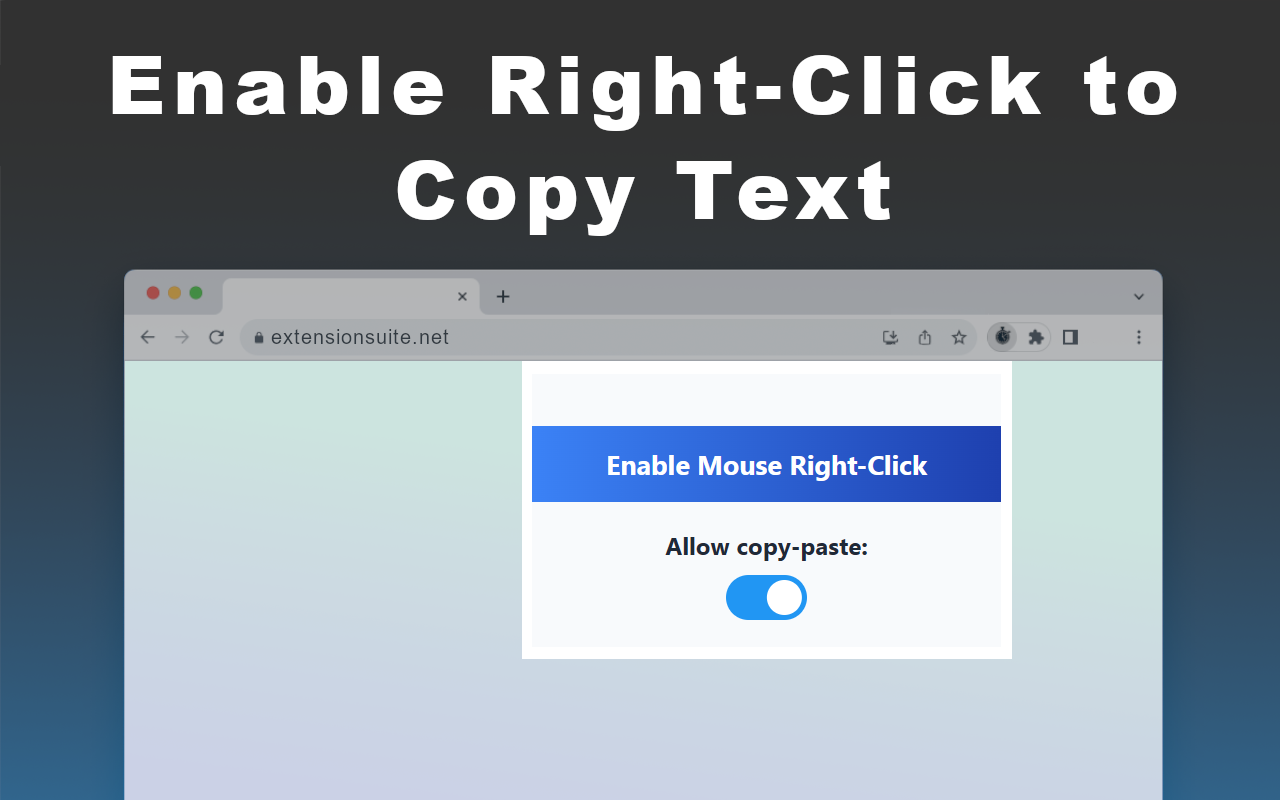 Enable Mouse Right-Click to Copy Protected Text插图