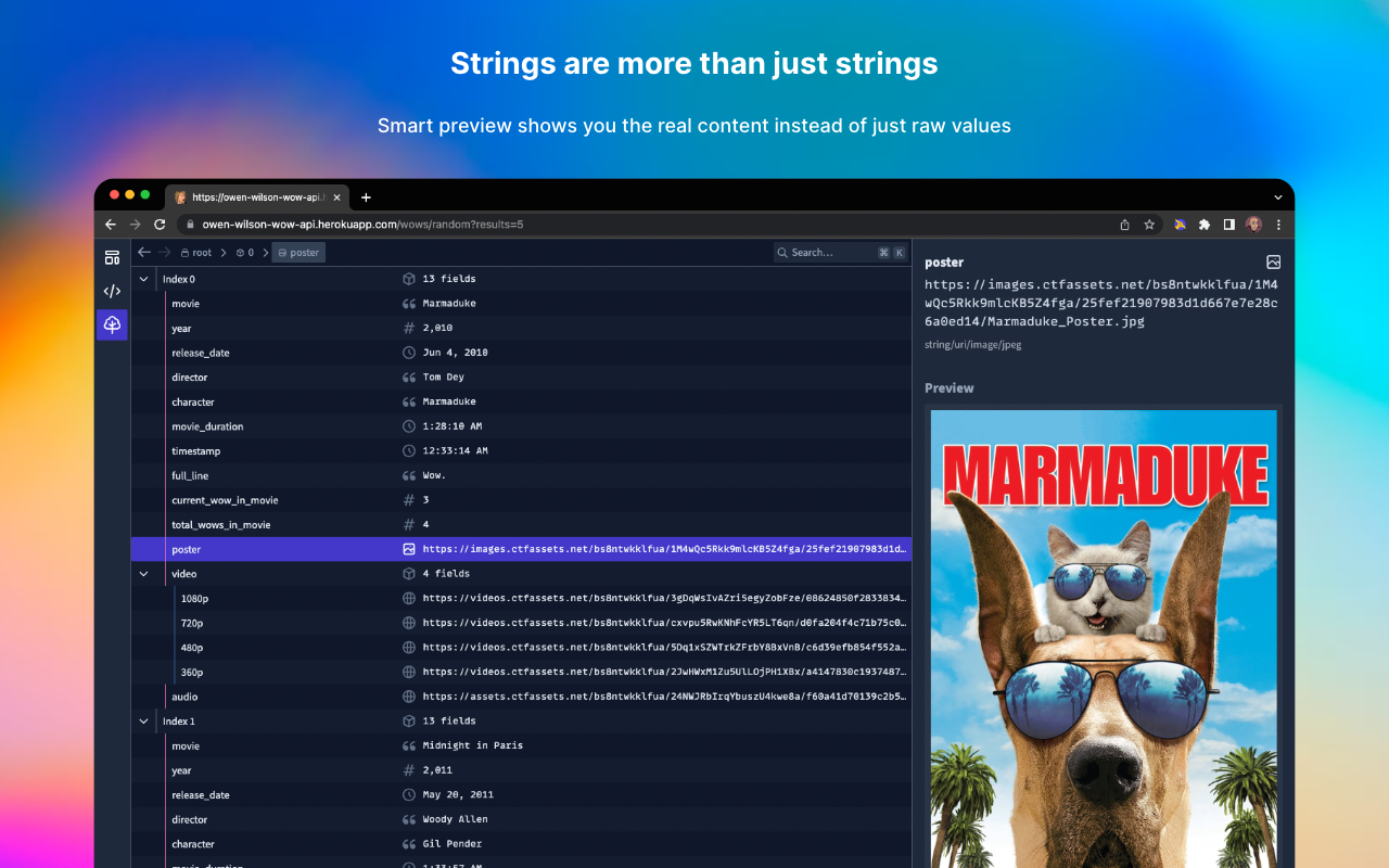 JSON Hero插图 JSON Hero插图