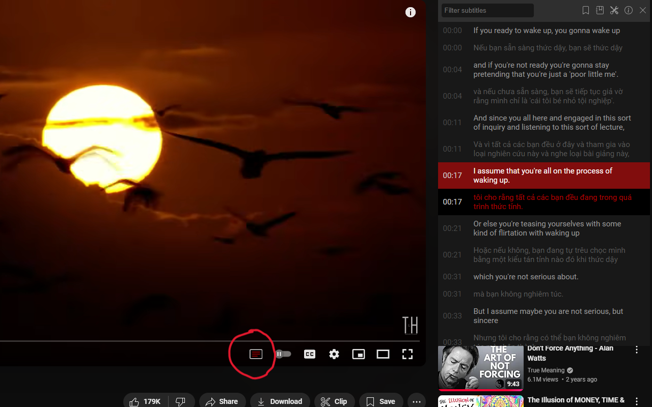 Seek Subtitles for YouTube插图