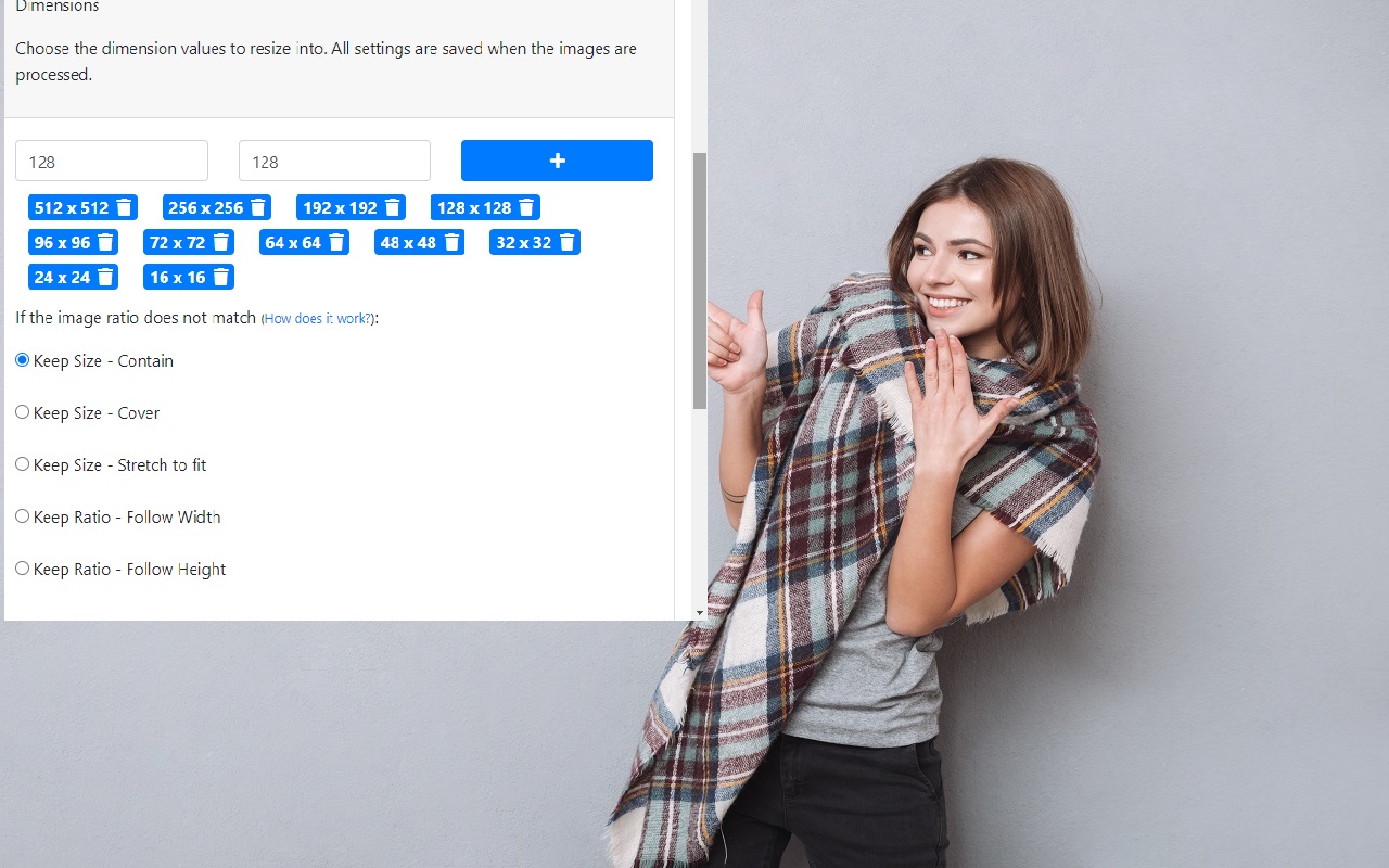 Bulk Image Resize插图
