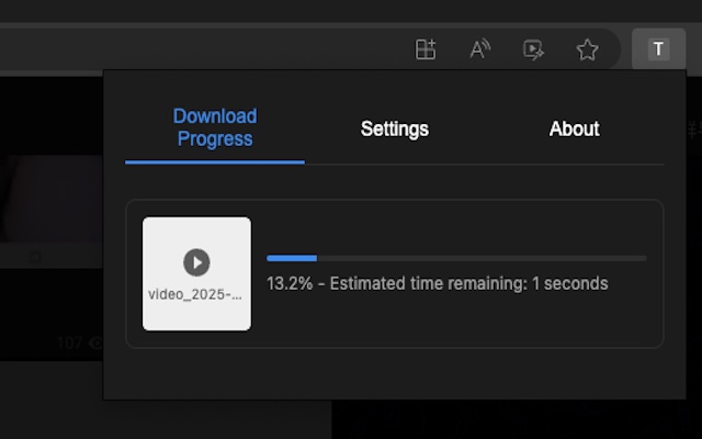 Telegram Video Downloader插图