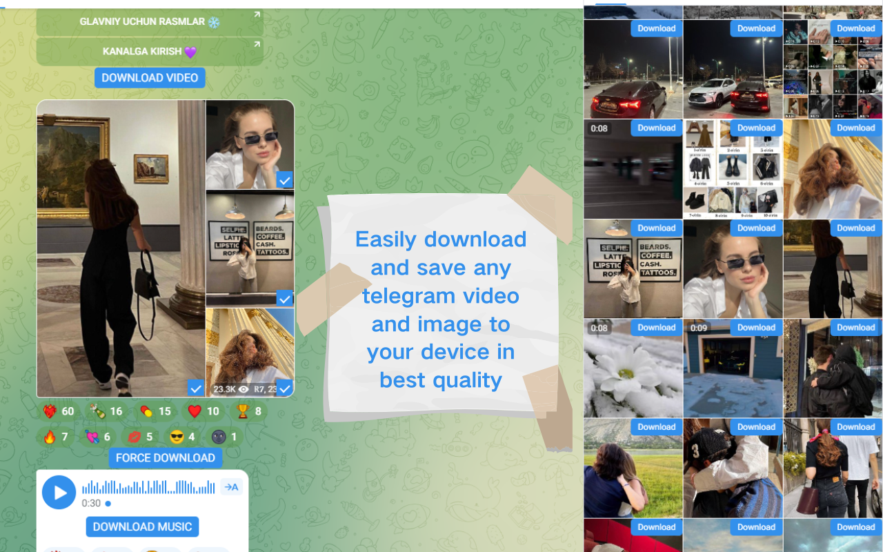 免费电报视频下载器插图