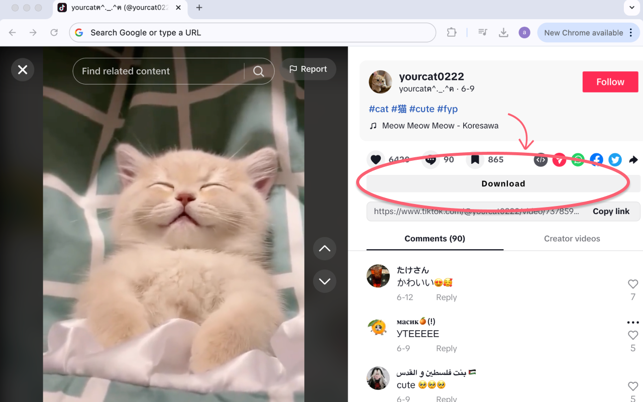 TikTok Downloader插图 TikTok Downloader插图