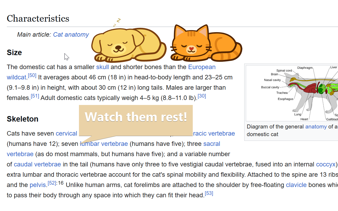 Play Pets | Cute and Playful Virtual Pets插图
