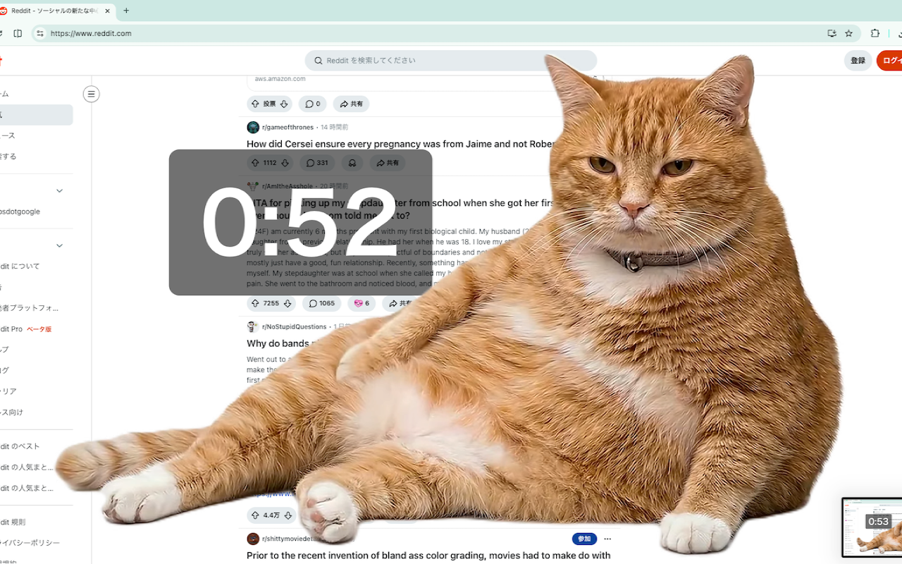 Cat Gatekeeper插图