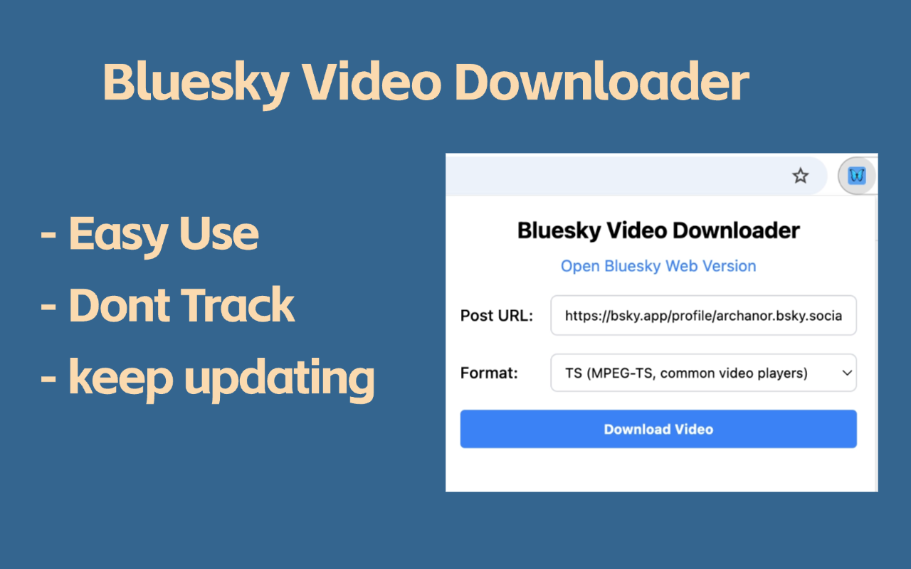 Bluesky Video Downloader插图