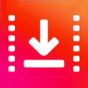 Video Downloader Professional Premium缩略图