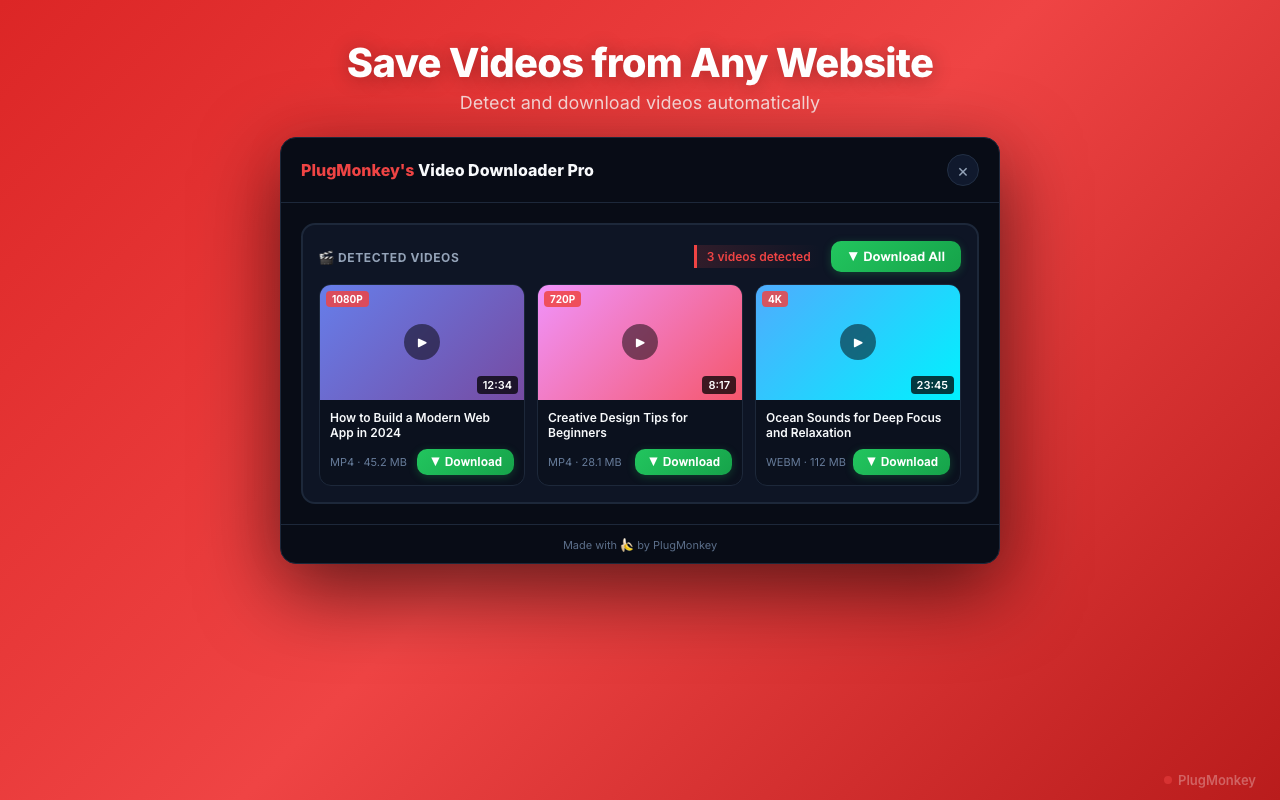 Video Downloader Pro插图 Video Downloader Pro插图