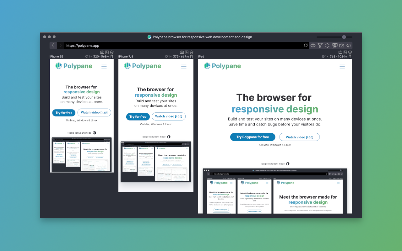 Polypane helper插图 Polypane helper插图