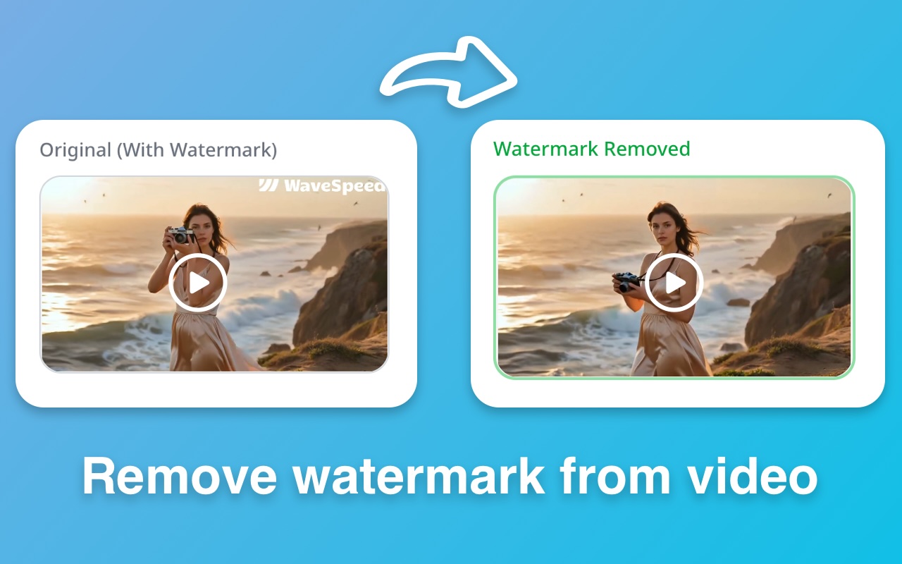 Video Watermark Remover插图 Video Watermark Remover插图